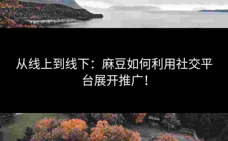 从线上到线下：麻豆如何利用社交平台展开推广！